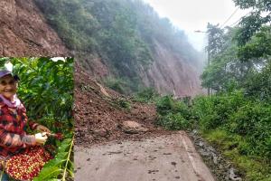 Cosechas estarían en riesgo en Cundinamarca: Municipios que están en alerta