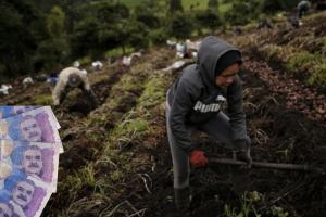 Fusagasugá: estrategia llenaría los bolsillos de los comerciantes