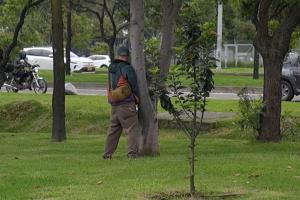 La muta por miccionar y defecar en las calles de Bogotá