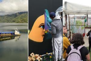 Actividades en el espacio público de Bogotá