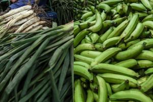 Alimentos en Corabastos