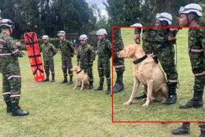 Soldados rescatistas del Ejército se unen a la búsqueda de Valeria Afanador