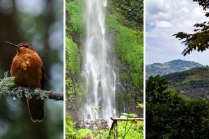 Caminatas ecológicas en Bogotá para agosto: cupos gratis y pocas fechas