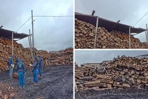 CAR frena en seco a empresa maderera por irregularidades ambientales