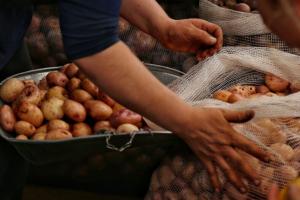 Precios en Corabastos este 6 de agosto, 2025: alimentos que más bajaron HOY