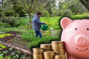 Ciudadanos ahorrarán en alimentación: no gastarán de más en el mercado