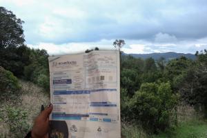 Siembra de árboles por pagar recibo del agua