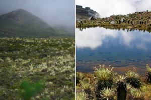 Páramo de Sumapaz