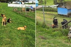 Refugio que deberá ser desalojado en El Rosal