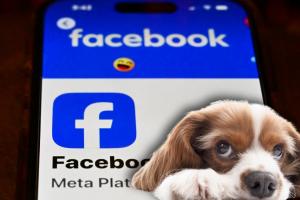 Se le llevaron hasta el perro: cita por Facebook terminó en pesadilla en Suba
