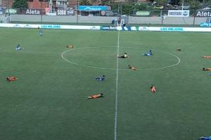 Abejas en Millonarios vs. Envigado