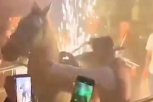Metieron un caballo a un bar en pleno centro de Bogotá