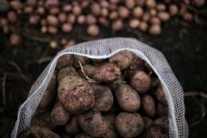 Precios en Corabastos hoy 18 de septiembre: alimentos que más bajaron este jueves