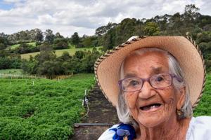 Cundinamarca suelta $10.600 millones familias de varios pueblos ganan