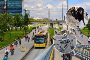 Mascotas no sufrirán en la Ciclovía de Bogotá: Distrito les arregla el paseo