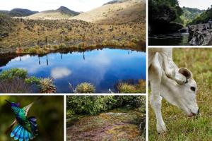 Pueblo de Cundinamarca con ríos, quebradas y páramo a 2 horas de Bogotá