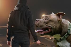 Cinco hombres armados robaron una camioneta y se llevaron un perro en Puente Aranda