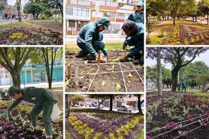 Siete nuevas maravillas florales le cambian la cara al sur de Bogotá