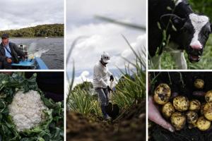 El enemigo silencioso que devora la tierra y golpea duro a los campesinos