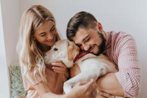 Chapinero lanza censo de mascotas para cuidar a los animales de la zona