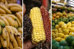 Precios en Corabastos hoy 3 de octubre de 2025: alimentos que más bajaron este viernes