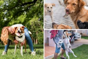 Bogotá lanza campaña ‘La Cagada es No Recoger’ para dueños de mascotas