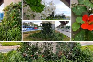 Puente de la Av. 68 con calle 26 se transforma y luce lleno de jardines