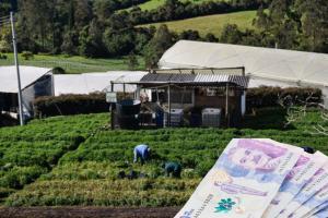 Región Metropolitana compra las cosechas municipios que salen ganando