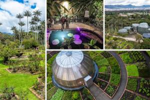 Jardín Botánico de Bogotá anuncia regreso de las Vacaciones Científicas