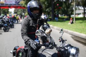 Autopista sur tiene nueva jugada para moteros rodar será distinto