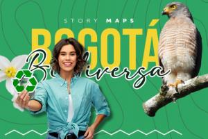 Bogotá Biodiversa aterriza: la ruta que revela los tesoros verdes de la ciudad