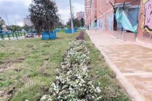 Bogotá estrena Ecobarrio la comunidad transforma su forma de vivir