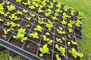 CAR se une al Museo Militar de Tocancipá para promover economía circular