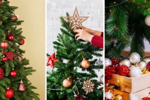 ¿Cuándo poner el árbol de Navidad? Inicie con todo el espíritu festivo