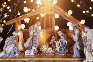 Pesebre en vivo y Arca de Noé la experiencia que transformará la Navidad