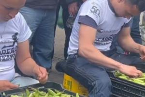 Precios en Corabastos este 20 de noviembre alimentos que más bajaron