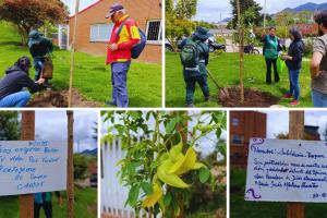 Más verde en San Cristóbal: Parque San Blas estrena árboles y flores