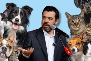 Galán anunció 7.000 cupos de esterilización gratis sin cita previa