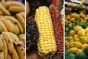 Precios en Corabastos este 1 de diciembre 2025 alimentos que más bajaron