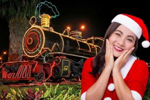 Tren de la Sabana en Navidad 2025: precios, horarios y recomendaciones