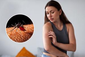 ¿Cuál es la vacuna contra el dengue y cómo se consigue en Colombia?