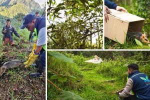 CAR cerró el año con liberación de fauna silvestre y trabajo ambiental