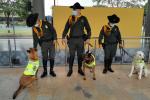 Seguridad canina en los portales de Transmilenio 