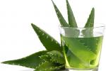Sábila en la salud y la belleza