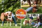 Villa Peluda en Bogotá: así se gozarán el Festival de Verano las mascotas