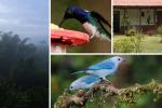 Pueblo de Cundinamarca llamado “Campo de Gigantes” guarda fósiles únicos