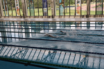 Suspenden temporalmente popular piscina pública en Bogotá esta es la razón