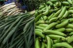 Alimentos en Corabastos
