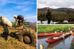 Campesinos reciben salvavidas tras afectaciones por fenómenos climáticos