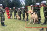 Soldados rescatistas del Ejército se unen a la búsqueda de Valeria Afanador